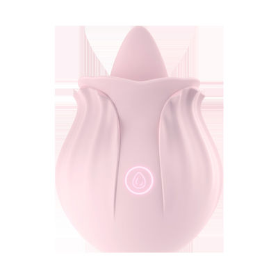 ROSH Female Vibrator Sex Toy