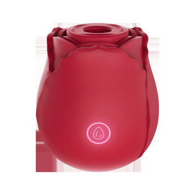 ROSH Female Vibrator Sex Toy